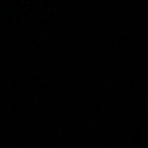 Meet your Posher, Jake